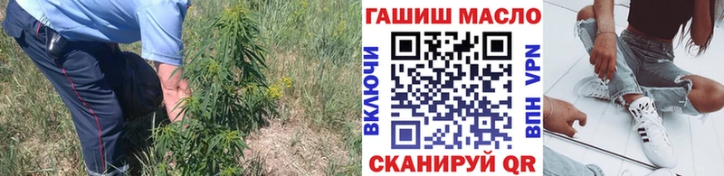 закладки Суджа Дистиллят ТГК концентрат