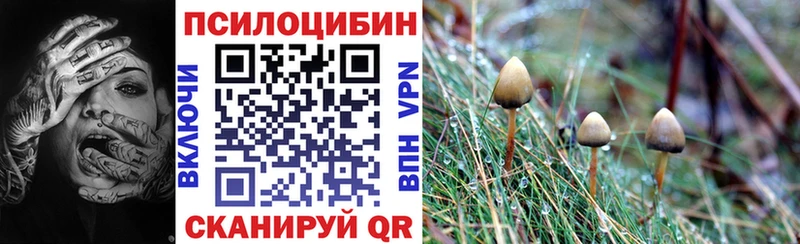 Псилоцибиновые грибы ЛСД Суджа
