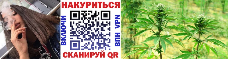 Канабис White Widow  Суджа 